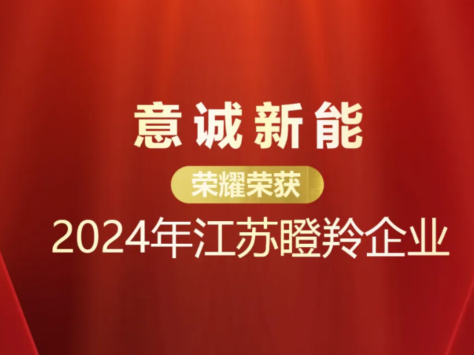 瞪羚跃动 意诚新篇